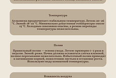 Уход за Аглаонемами 